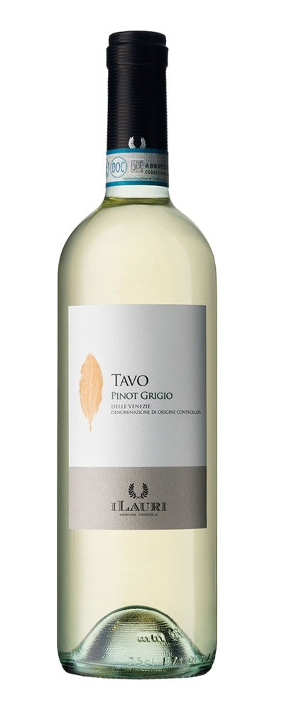 Talamonti Tavo Pinot Grigio 2021 0