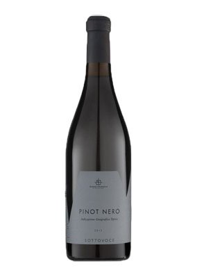 Anno Domini Pinot Nero IGT Veneto Linea Sottovoce 2015 0