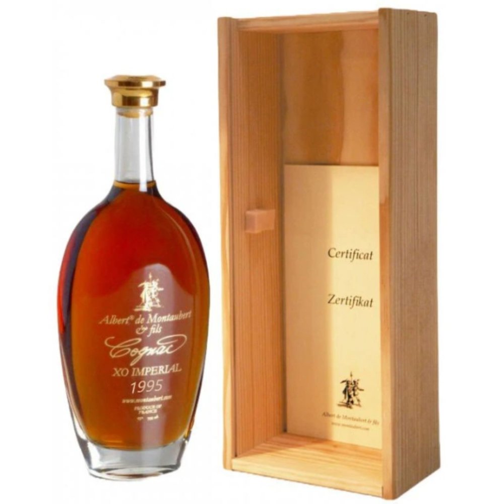 Albert de Montaubert 1995 XO 0