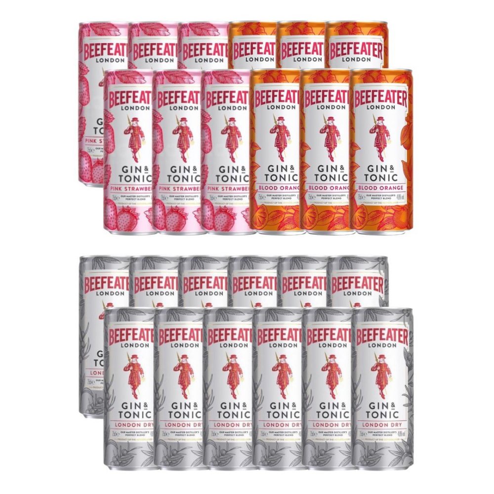 RTD Letní Párty Set Beefeater 24×0