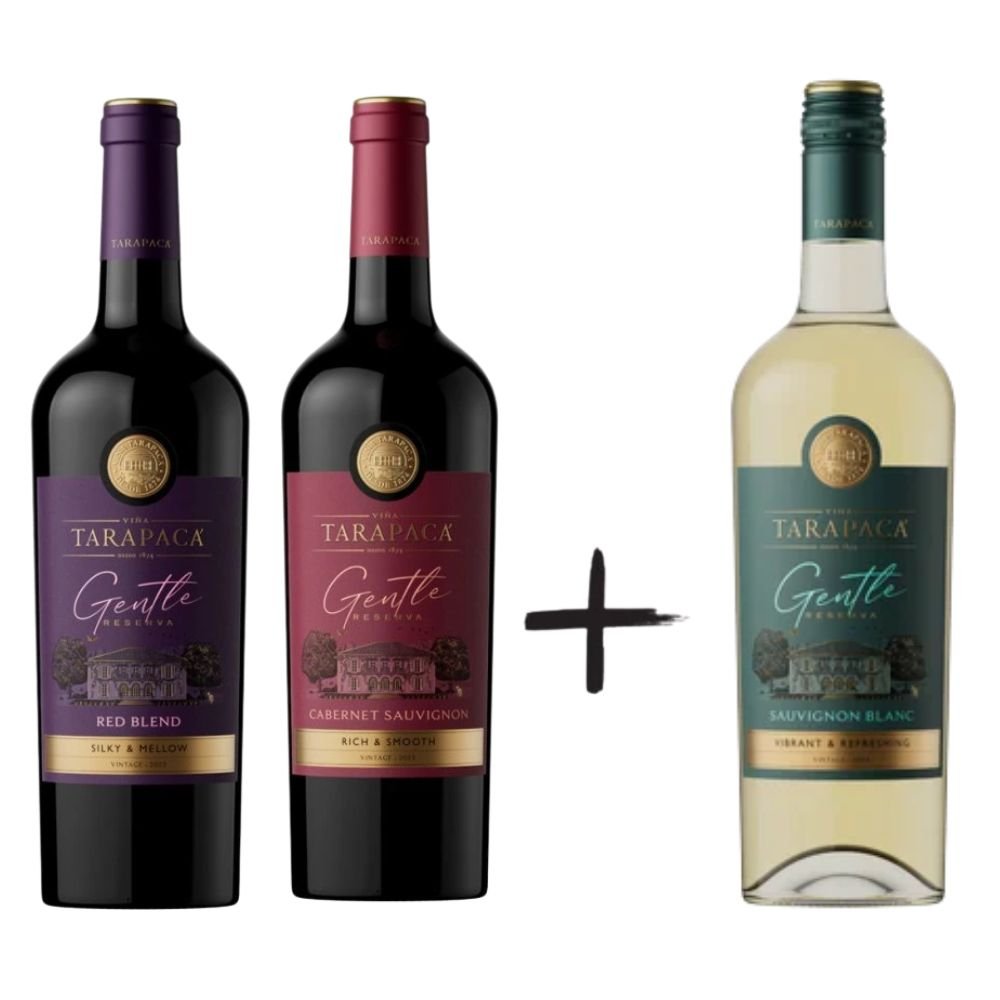 2+1 Tarapacá Gentle 0