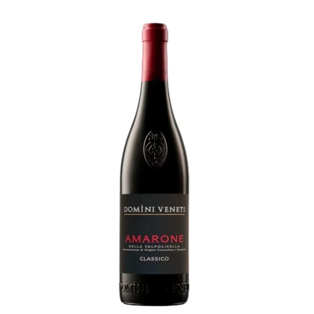 Domini Veneti Amarone della Valpolicella Classico 2020 0